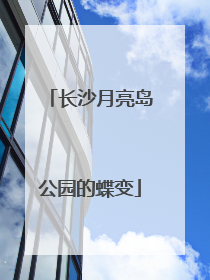 长沙月亮岛公园的蝶变