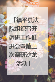镇平县法院组织召开调研工作推进会暨第三次调研沙龙活动