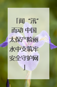 闻“汛”而动 中国太保产险丽水中支筑牢安全守护网