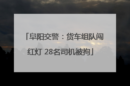 阜阳交警：货车组队闯红灯 28名司机被拘