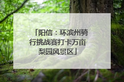 阳信：环滨州骑行挑战赛打卡万亩梨园风景区