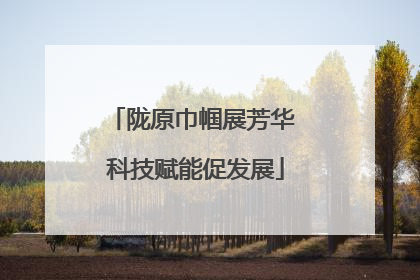 陇原巾帼展芳华 科技赋能促发展