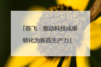 陈飞：推动科技成果转化为新质生产力