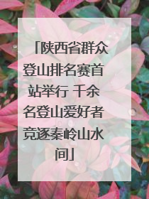 陕西省群众登山排名赛首站举行 千余名登山爱好者竞逐秦岭山水间