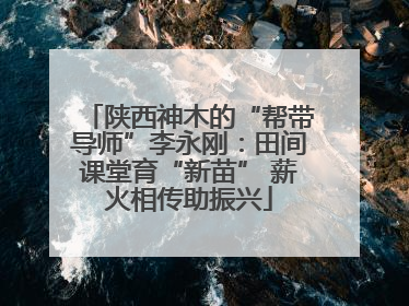 陕西神木的“帮带导师”李永刚：田间课堂育“新苗” 薪火相传助振兴