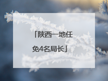 陕西一地任免4名局长