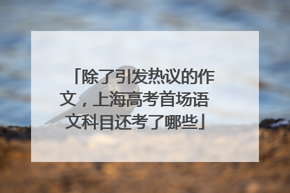 除了引发热议的作文，上海高考首场语文科目还考了哪些