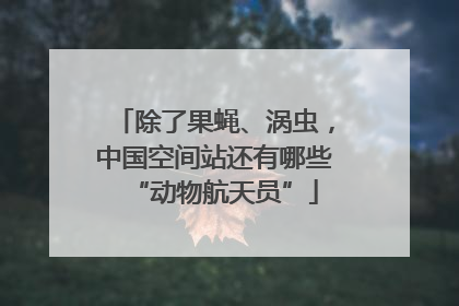 除了果蝇、涡虫，中国空间站还有哪些“动物航天员”