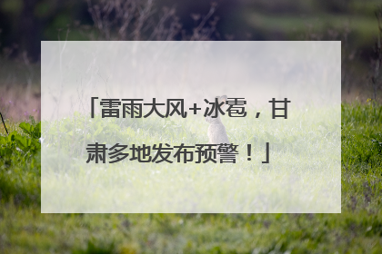 雷雨大风+冰雹，甘肃多地发布预警！