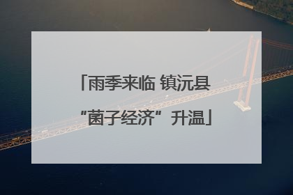 雨季来临 镇沅县“菌子经济”升温