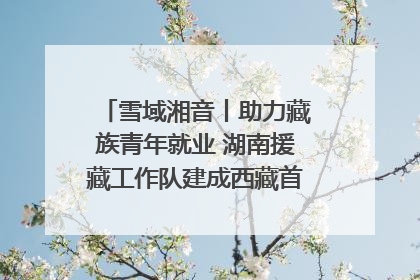 雪域湘音丨助力藏族青年就业 湖南援藏工作队建成西藏首个清洁能源装备园