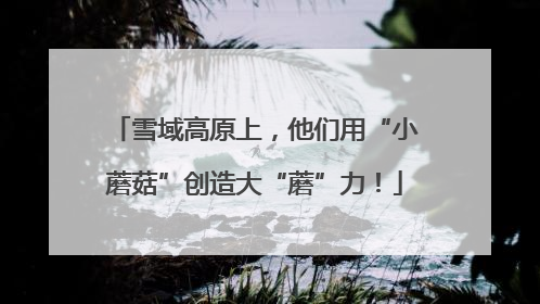 雪域高原上，他们用“小蘑菇”创造大“蘑”力！
