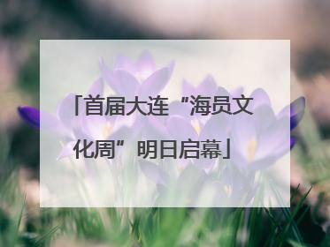 首届大连“海员文化周”明日启幕