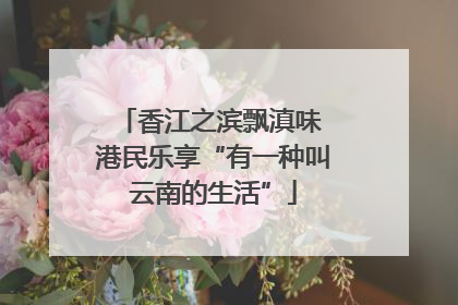 香江之滨飘滇味 港民乐享“有一种叫云南的生活”