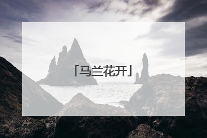 马兰花开