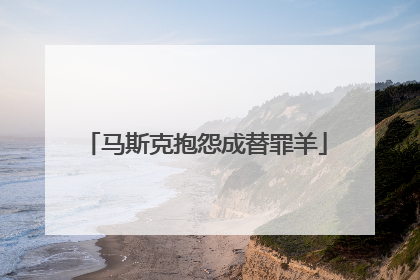 马斯克抱怨成替罪羊