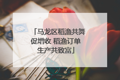马龙区稻渔共舞促增收 稻渔订单生产共致富