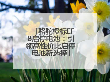 骆驼橙标EFB启停电池：引领高性价比启停电池新选择