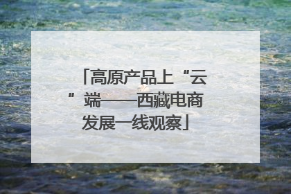 高原产品上“云”端——西藏电商发展一线观察