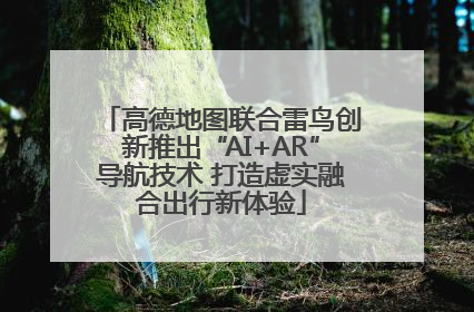 高德地图联合雷鸟创新推出“AI+AR”导航技术 打造虚实融合出行新体验