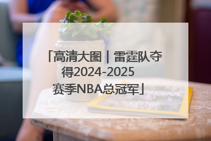 高清大图｜雷霆队夺得2024-2025赛季NBA总冠军