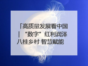 高质量发展看中国｜“数字”红利润泽八桂乡村 智慧赋能绘就振兴画卷