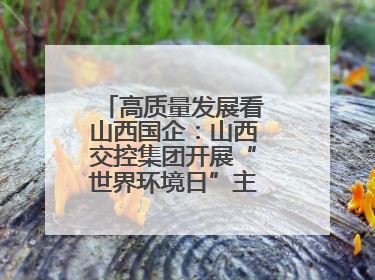 高质量发展看山西国企：山西交控集团开展“世界环境日”主题系列活动