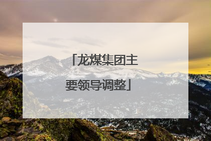 龙煤集团主要领导调整