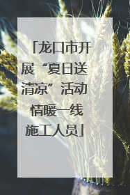 龙口市开展“夏日送清凉”活动 情暖一线施工人员