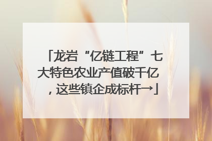 龙岩“亿链工程”七大特色农业产值破千亿，这些镇企成标杆→