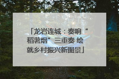 龙岩连城：奏响“稻薯烟”三重奏 绘就乡村振兴新图景