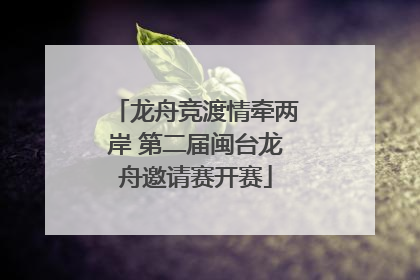 龙舟竞渡情牵两岸 第二届闽台龙舟邀请赛开赛