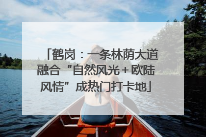 鹤岗：一条林荫大道融合“自然风光＋欧陆风情”成热门打卡地