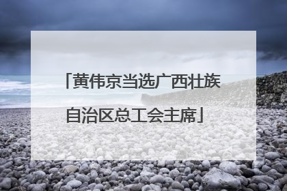 黄伟京当选广西壮族自治区总工会主席