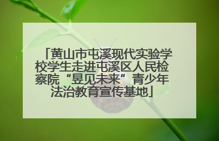 黄山市屯溪现代实验学校学生走进屯溪区人民检察院“昱见未来”青少年法治教育宣传基地