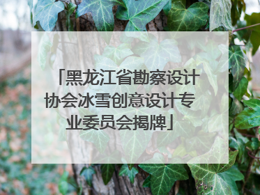 黑龙江省勘察设计协会冰雪创意设计专业委员会揭牌