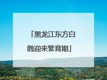 黑龙江东方白鹳迎来繁育期