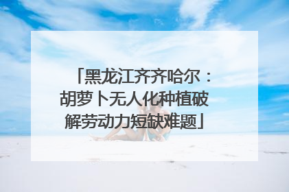 黑龙江齐齐哈尔：胡萝卜无人化种植破解劳动力短缺难题
