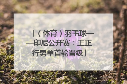 （体育）羽毛球——印尼公开赛：王正行男单首轮晋级