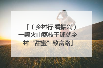 （乡村行·看振兴）一颗火山荔枝王铺就乡村“甜蜜”致富路