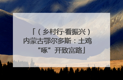 （乡村行·看振兴）内蒙古鄂尔多斯：土鸡“啄”开致富路