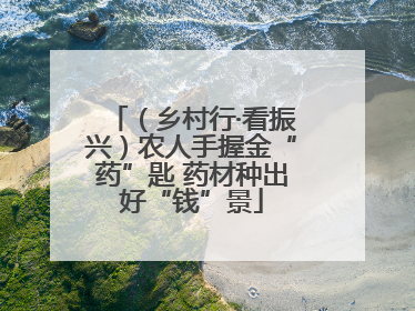 （乡村行·看振兴）农人手握金“药”匙 药材种出好“钱”景