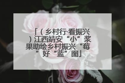 （乡村行·看振兴）江西靖安“小”浆果助绘乡村振兴“莓”好“蓝”图
