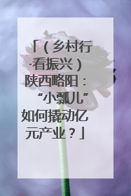 （乡村行·看振兴）陕西略阳：“小瓢儿”如何撬动亿元产业？