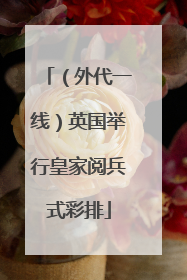 （外代一线）英国举行皇家阅兵式彩排