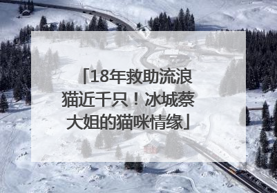 18年救助流浪猫近千只！冰城蔡大姐的猫咪情缘