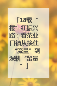 18载“樱”红振兴路：看茶业口镇从接住“流量”到深耕“留量”
