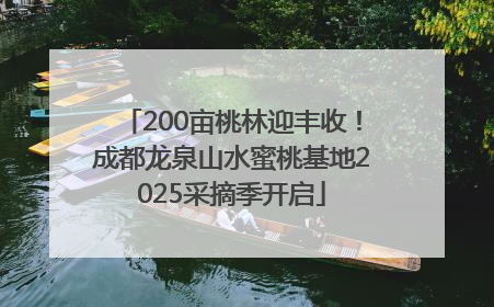 200亩桃林迎丰收！成都龙泉山水蜜桃基地2025采摘季开启