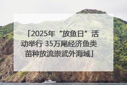 2025年“放鱼日”活动举行 35万尾经济鱼类苗种放流崇武外海域