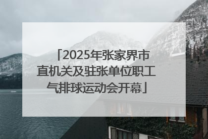 2025年张家界市直机关及驻张单位职工气排球运动会开幕